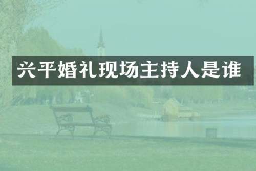 兴平婚礼现场主持人是谁