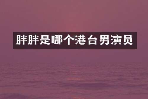 胖胖是哪个港台男演员