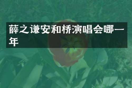 薛之谦安和桥演唱会哪一年