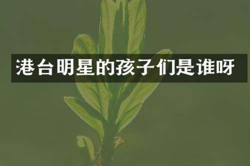 港台明星的孩子们是谁呀