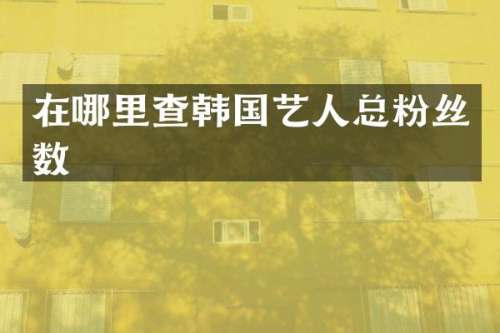 在哪里查韩国艺人总粉丝数