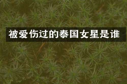 被爱伤过的泰国女星是谁
