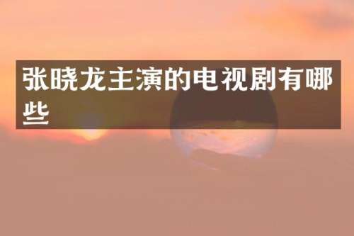 张晓龙主演的电视剧有哪些
