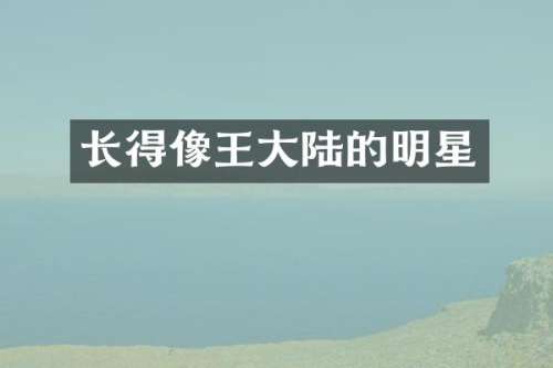 长得像王大陆的明星