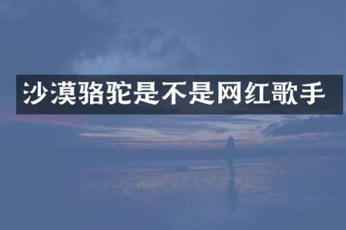 沙漠骆驼是不是网红歌手
