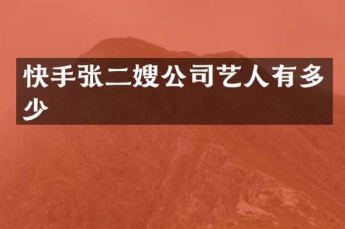 快手张二嫂公司艺人有多少