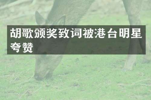 胡歌颁奖致词被港台明星夸赞