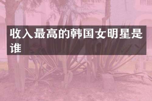 收入最高的韩国女明星是谁