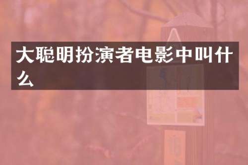 大聪明扮演者电影中叫什么