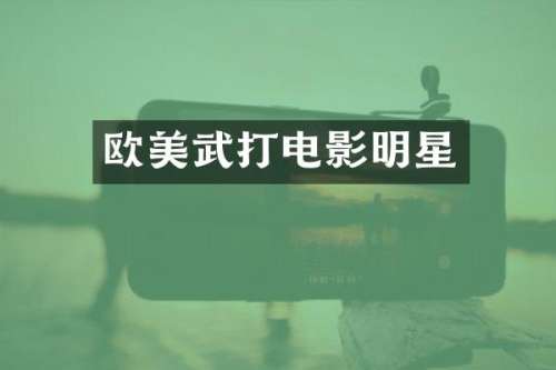 欧美武打电影明星