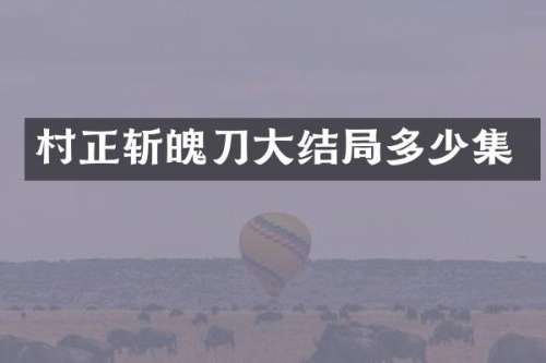 村正斩魄刀大结局多少集