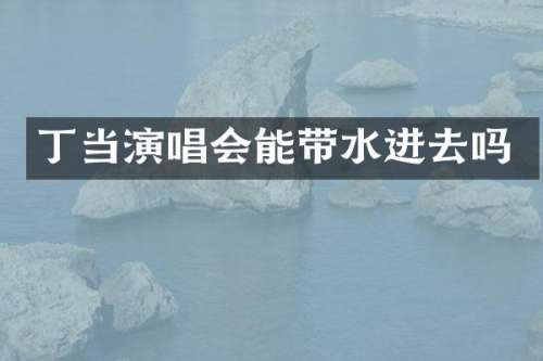 丁当演唱会能带水进去吗
