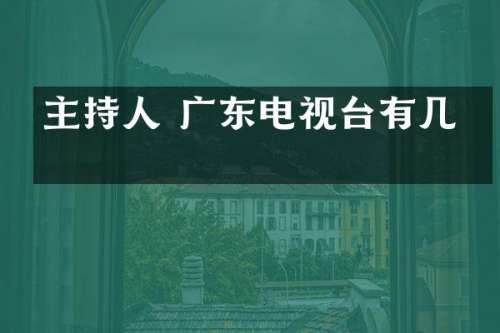 主持人 广东电视台有几个