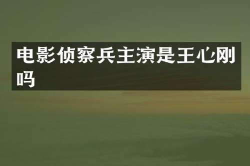 电影侦察兵主演是王心刚吗