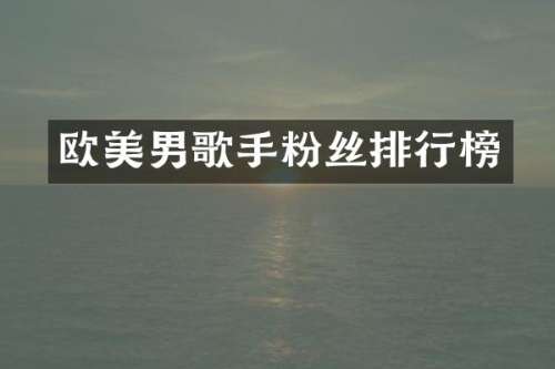 欧美男歌手粉丝排行榜