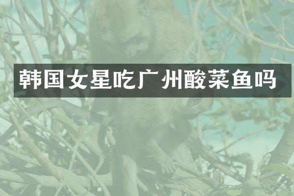 韩国女星吃广州酸菜鱼吗