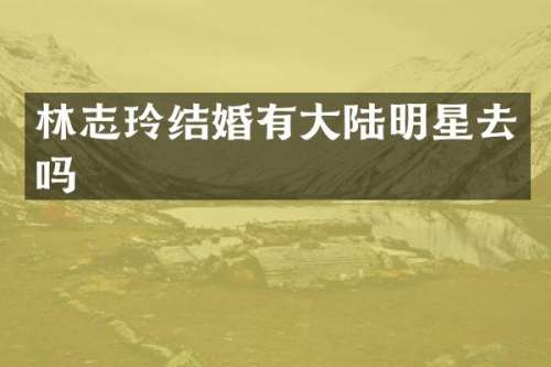 林志玲结婚有大陆明星去吗