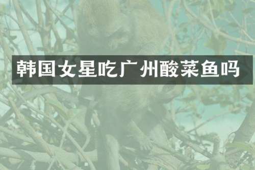 韩国女星吃广州酸菜鱼吗
