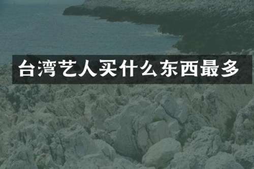 台湾艺人东西最多