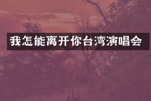 我怎能离开你台湾演唱会