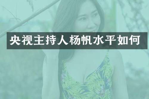央视主持人杨帆水平如何