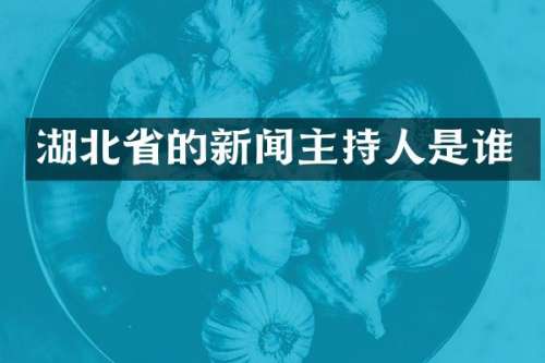 湖北省的新闻主持人是谁