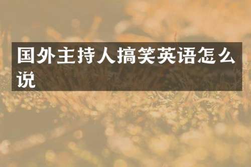 国外主持人搞笑英语怎么说