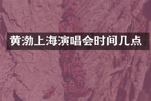 黄渤上海演唱会时间几点