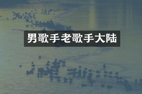 男歌手老歌手大陆
