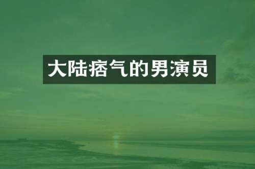 大陆痞气的男演员