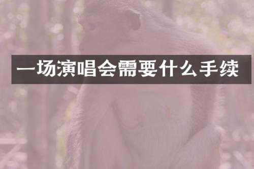 一场演唱会需要什么手续