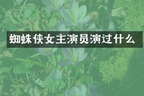 蜘蛛侠女主演员演过什么