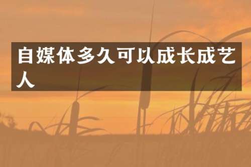 自媒体多久可以成长成艺人