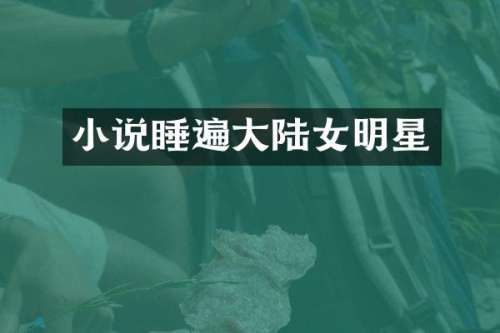 小说睡遍大陆女明星