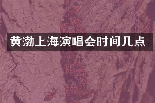黄渤上海演唱会时间几点