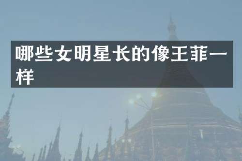 哪些女明星长的像王菲一样