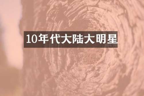 10年代大陆大明星