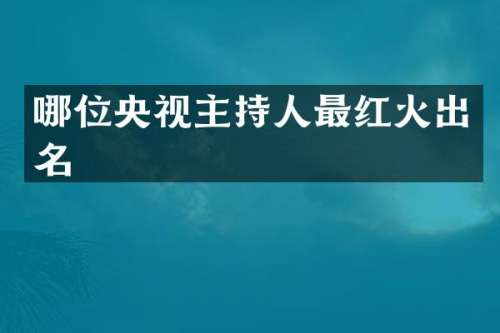 哪位央视主持人最红火出名