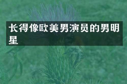 长得像欧美男演员的男明星