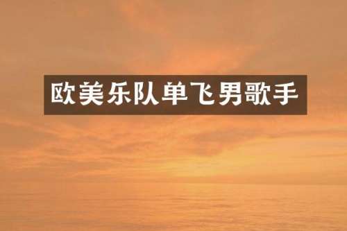 欧美乐队单飞男歌手