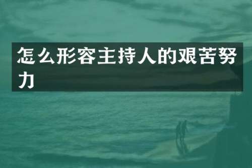 怎么形容主持人的艰苦努力