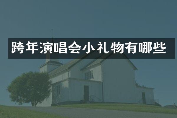 跨年演唱会小礼物有哪些