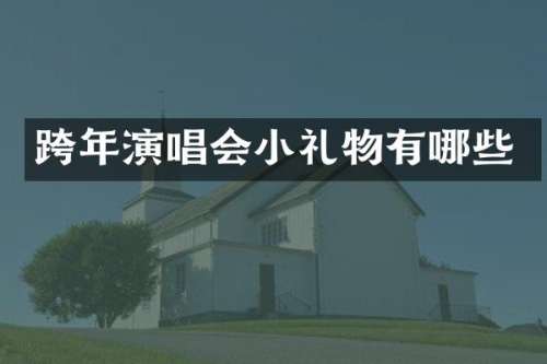 跨年演唱会小礼物有哪些