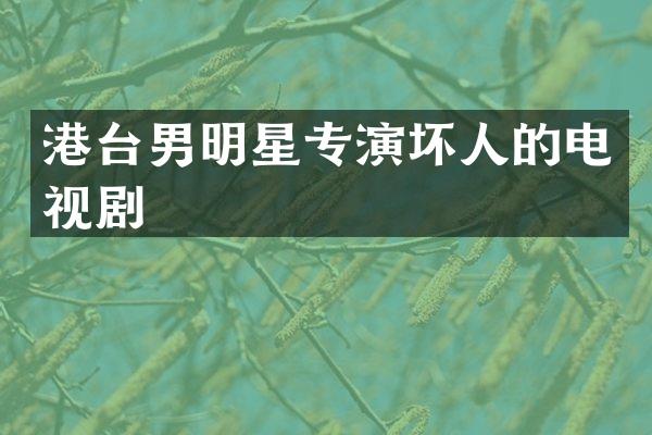 港台男明星专演坏人的电视剧