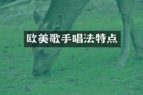 欧美歌手唱法特点