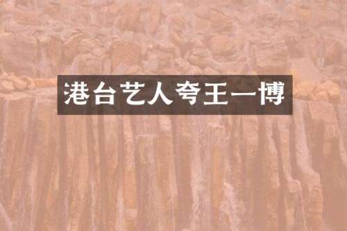 港台艺人夸王一博
