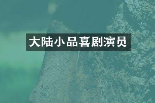 大陆小品喜剧演员