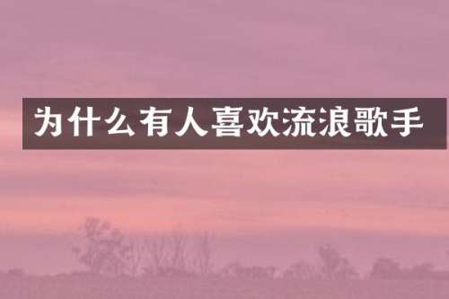 为什么有人喜欢流浪歌手