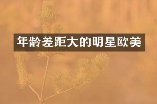 年龄差距大的明星欧美