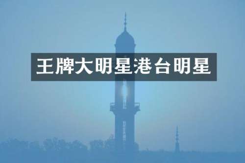 王牌大明星港台明星